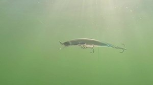 Yo-Zuri Lures - Crystal 3D Minnows - Sinking Lures