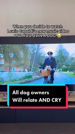 Heartwarming Story of a Man and His Dog | Emotional Rollercoaster