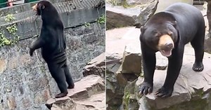 The viral videos that stuck with us through 2023