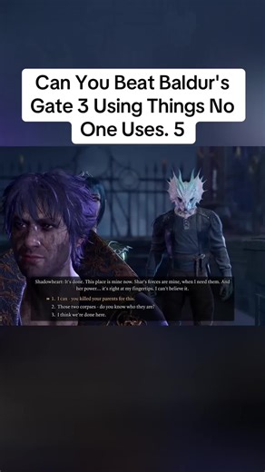 Can You Beat Baldur's Gate 3 Using Things No One Uses. 5#usa