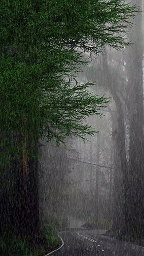 Nature's Symphony: Relaxing Rain Music for Sleep