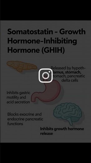 somatostatin/ Growth hormone inhibiting hormon (GHIH) #norcetmcq #nursingstudents #nursingexam