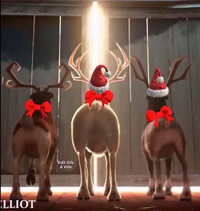 504K views · 13K reactions | Well you can leave your hat on  Made this with ALL 3 wearing hats...didn't take...I have redone it if you want it let me know, I'll repost. | Gifs, Vids & Music Etc | Facebook