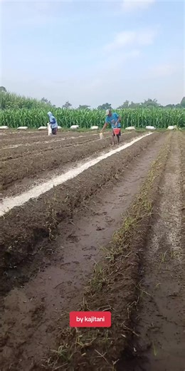 Indonesian Farmers: Cultivating Sustainable Agriculture