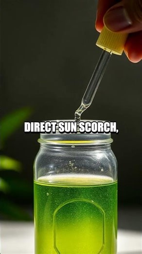 Algae in a Jar Home Biology Lookout