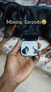 Ragul Vlogs on Instagram: "🤣Shiro #dogs #instagram #fun #funny #reels #ragulvlogs #dog"