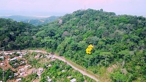 Aerial View of Green Rainforest, Yellow Guayacan Tree and Communication Tower on Hilltop, Revealing View of Panama City and Canal in Misty Background, Drone Shot
