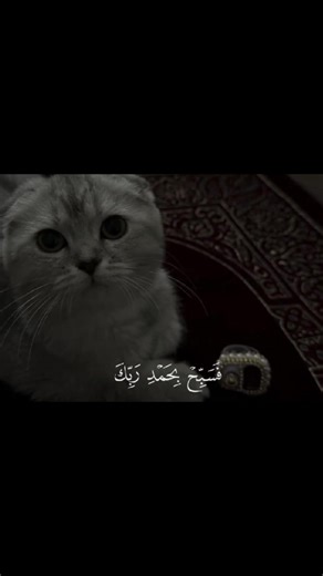 فيديوهات أنشأها نـونــو 🎀»» •