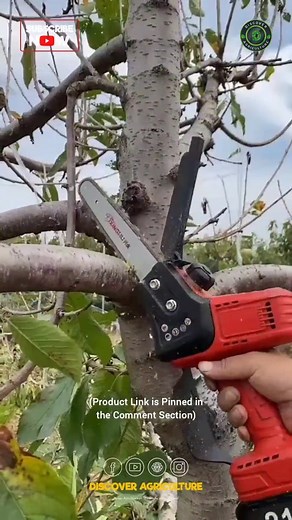 7.8K views | Best Battery Operated Powerful Small Chainsaw for Pruning 朗 | Discover Agriculture | Facebook