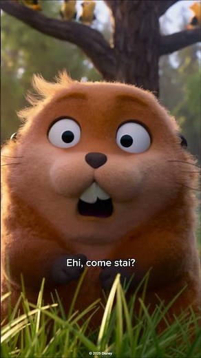 Benvenuti nel mondo degli animali! 🦫