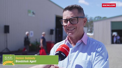 "Satono Aladdin's an outstanding stallion... I really believe we got that filly at a great value price." The Satono Aladdin x Shining Star filly was purchased for $80,000 by McEvoy Mitchell Racing & Belmont Bloodstock earlier today 🔥 Magic Millions | Racing.com