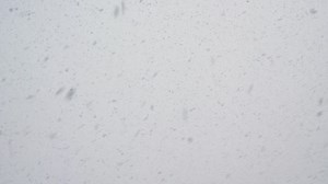 Snow is falling on gray and cloudy sky background. Snowy weather. Winter nature | Free Stock Video Footage