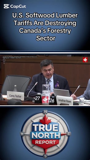 U.S. Softwood Lumber Tariffs Are Destroying Canada’s Forestry Sector #Canada #CanadaNews #CanadaPolitics #TradeWar #ForestryIndustry