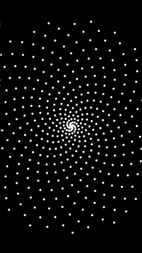 Mesmerizing Phyllotaxis Animation | Nature’s Mathematical Beauty 🌿✨