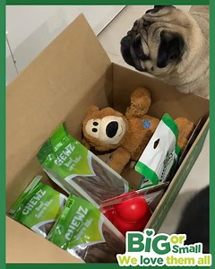 WE ❤️ PETS! At Budget Pet Products, we offer a wide range of big brands for small prices to help make life with your pet happy & healthy 🐱🐶 | Budget Pet Products