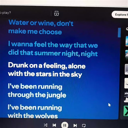 wolves by selena gomez and marshmellow🎶 #selenagomez #marshmellow #wolves #lyrics_songs #fyp