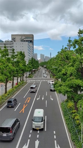 ～山下公園通り・イチョウ並木～ Yokohama Yamashita Park ホテルニューグランド