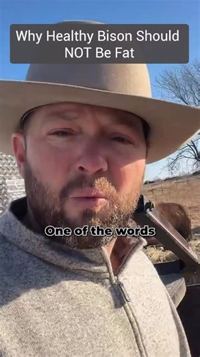 Bison naturally, are lean animals. They may show a couple of ribs every now and then, but that doesn’t mean they’re not healthy. Confirmation body condition = good bison. We also watch how Mom is doing in late winter and early spring as she’s getting ready to have another red dog. We don’t wean our calves until 10-11 months old. #bison #buffalo #farm #bisonranch #ranchlife | Cross Timbers Bison