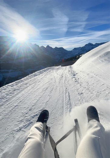 Experience the Thrill of Sledging in Switzerland