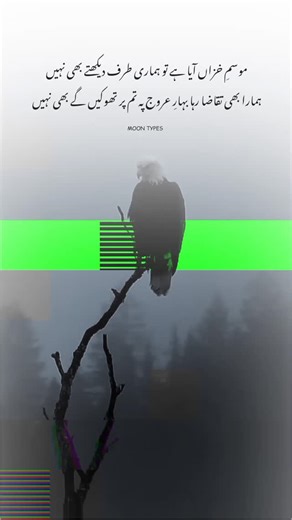 3.8K reactions · 231 shares | #moon_types | Moon Types | Facebook