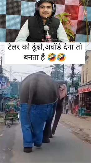 official sachu on Instagram: "90 day challenge #reels#shorts#viral #comedy #trending"