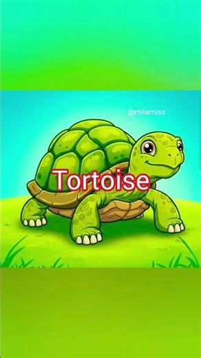 Turtle vs Tortoise American Pronunciation 🐢 Easy English with Mila Miss