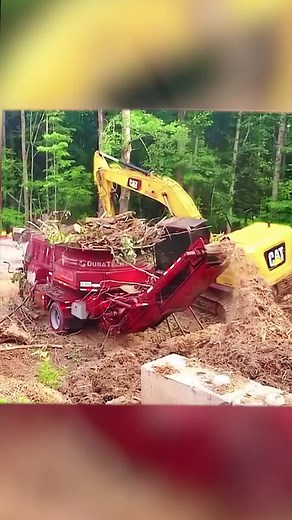 Yeechop645 on TikTok