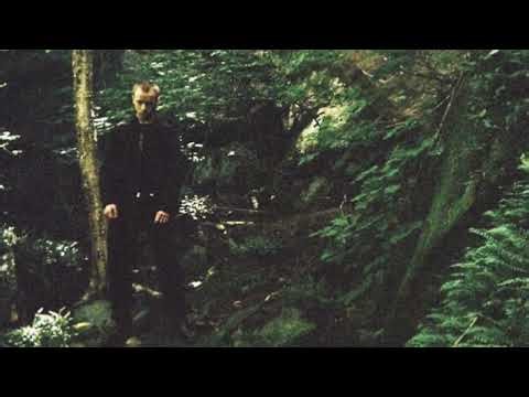 Spooky black - No Medicine you know the cure (Audio)