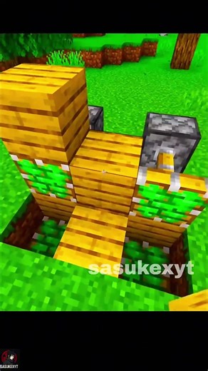 Minecraft Block Swaper💀#minecraft #shorts