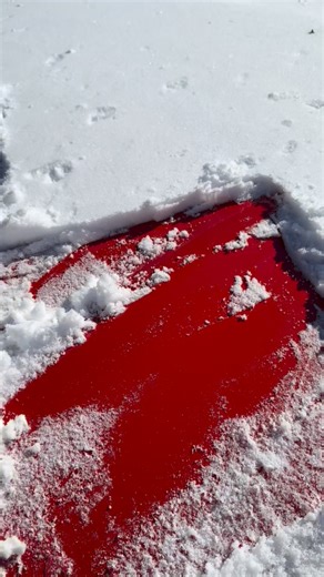 Macondo Rentals | Myrtle Beach car rent on Instagram: "😂😂😂 snow day in Myrtle Beach 😂😂"