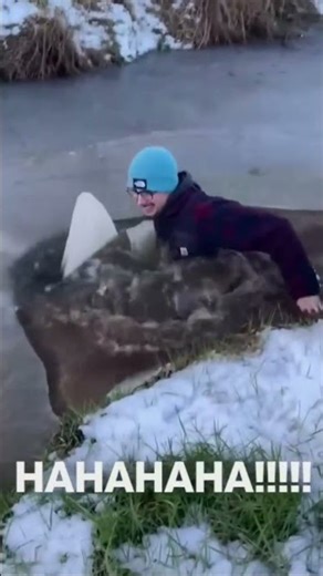 funny comedy lucu #funny #comedy #lucu #core #funnyvideo #videolucu #shorts #ketawa #ngakak #laugh