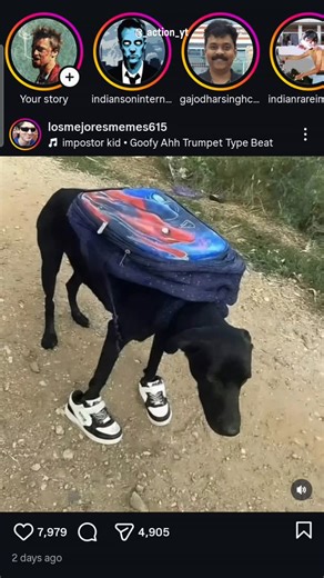 101K views · 2.7K reactions | Non-stop reel scrolling  #memes | Actionyt | Facebook