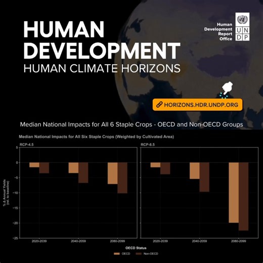 New Human Climate Horizons data reveal widening gaps between OECD & non-OECD countries. 📉Several major breadbasket economies face absolute production declines, with ripple effects across global food markets that could widen development gaps. 🔗More: go.undp.org/ixe | Human Development Report