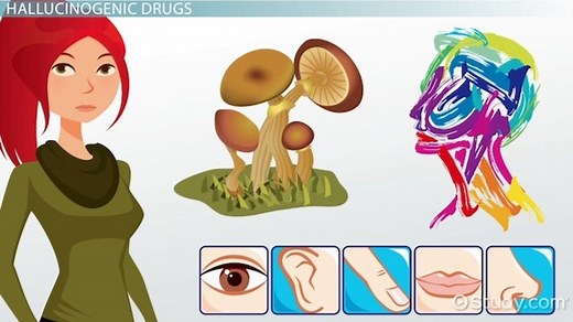 Effects of Hallucinogenic Drugs on the Mind & Body