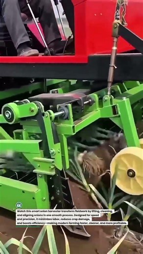 Smart Onion Harvester in Action 🚜 Efficient Farming Tech #Agriculture #Farming #AgriTech