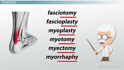 You must c C reate an account to continue watching