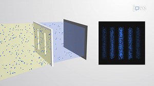 Video: The de Broglie Wavelength