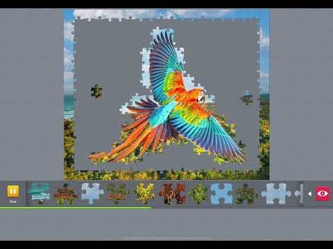 45. Relaxing Puzzle with Bossa Nova 🌿 | Cozy Background Music for Focus (1 Hour)