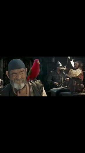 Pirates of the Caribbean the birds got a gun!