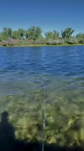 Book now for a good time at Bighorn River View Lodge & Cabins. We offer excellent fishing experiences that you cannot get anywhere else! Book Now | bit.ly/3GlQLbe #FlyFishingMontana #MontanaFishingTrip #FortSmithMontana | Bighorn River View Lodge