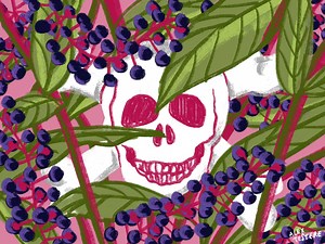 How Did This Poisonous Plant Become One of the American South’s Most Long-Standing Staples?