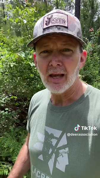 Differences Between Ryegrass and Rye for Deer Food Plots