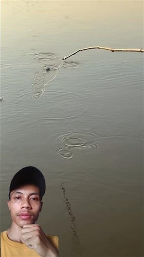 Amazing simple fishing rod made from twigs #fishing #fishingrod #fishinglife #shorts