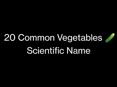 20 Common Vegetables & Their Scientific Names | Learn Easily with Pictures