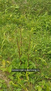 7.9K views · 163 reactions | Can you help us secure the future of the...