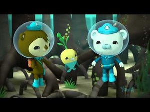 3x09 Les Octonauts et les barracudas