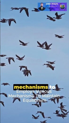 Density-dependent limiting factors | Population's Invisible Barriers #BioFun #facts