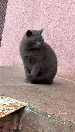 Maria Mariana on Reels