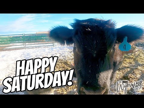 A Day in the Ranch Life - A Saturday on the Ranch