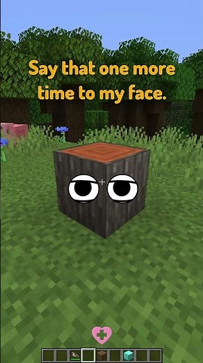 Types of Blocks in Minecraft